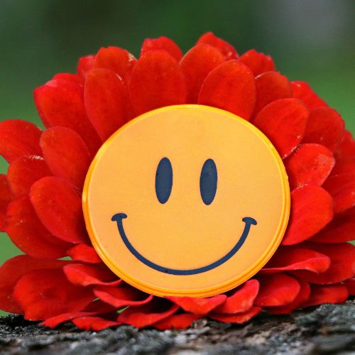Smile DP – A cheerful and radiant profile picture capturing pure happiness and positivity.