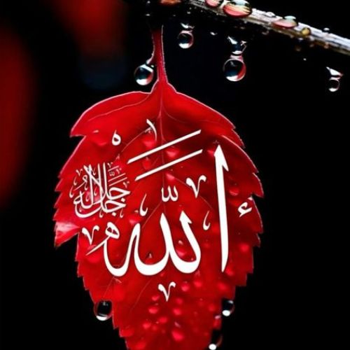 Allah DP – A spiritual and faith-filled profile picture with Islamic calligraphy