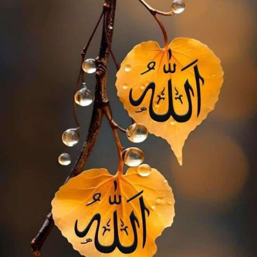 Allah DP – A spiritual and faith-filled profile picture with Islamic calligraphy