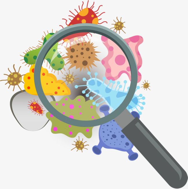 n educational Biology-themed DP featuring a DNA strand and