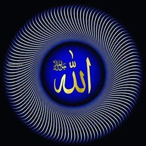 ALLAH DP