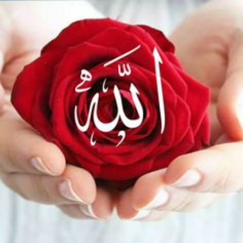 ALLAH DP