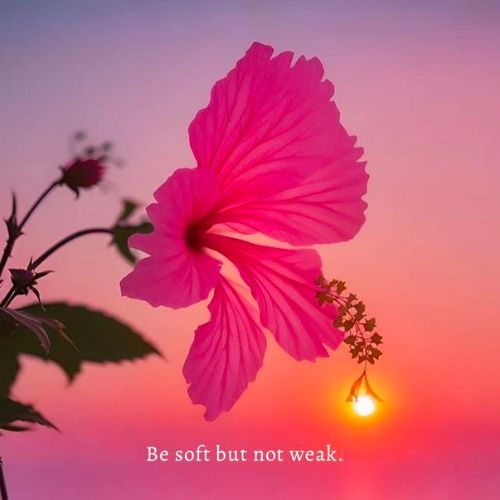 Motivational quote DP with an inspiring message on a minimalistic background.