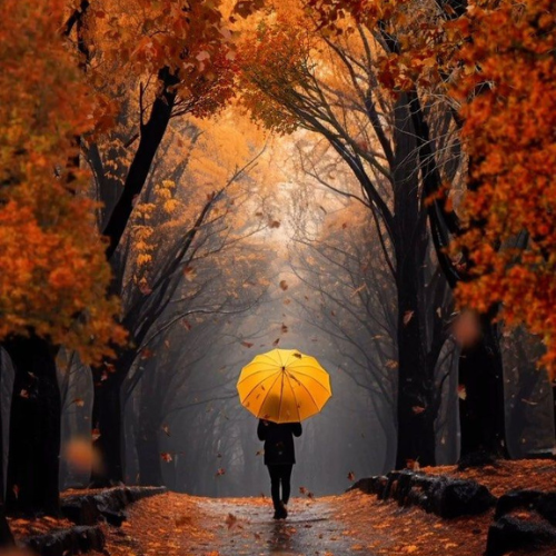 yellow umbrella in walk