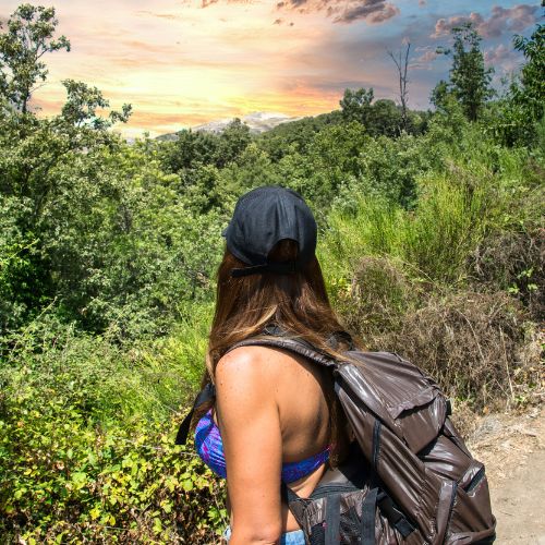 A boy admiring the beauty of nature, embracing peace and tranquility – perfect Lifestyle DP.
