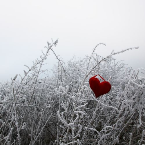 A red heart hanging from frost-covered branches in a snowy landscape, symbolizing love and warmth in a cold environment.