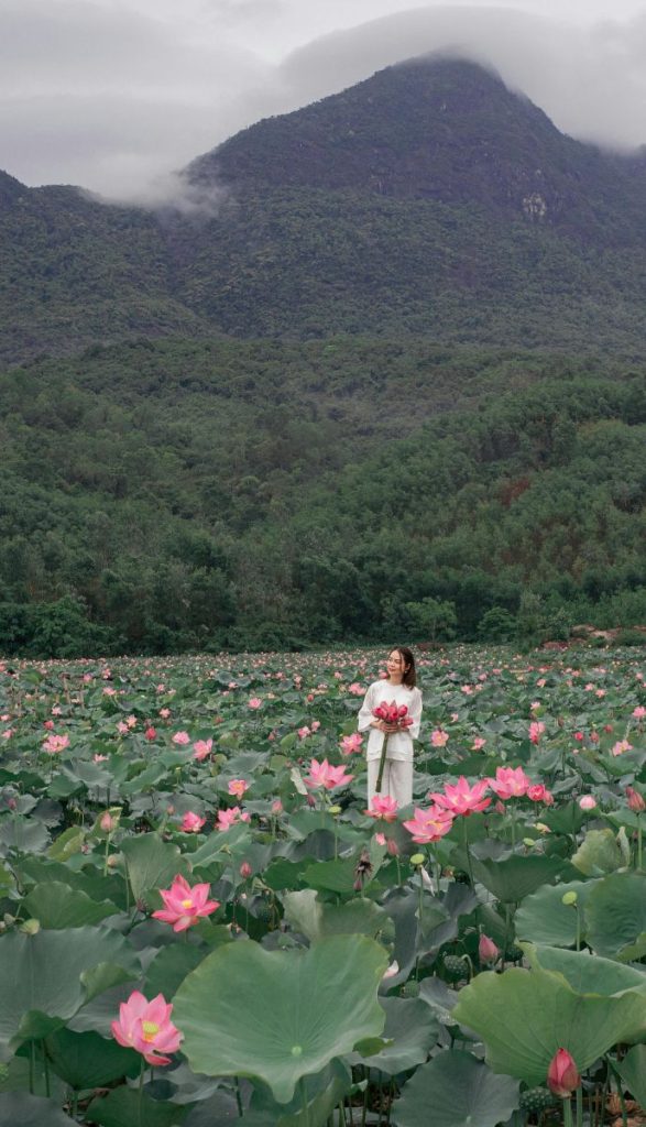 A woman in a traditional white outfit stands in the middle of a vast lotus field, holding a bouquet of pink lotus flowers. Green leaves and pink blossoms surround her, with misty mountains and clouds in the background.