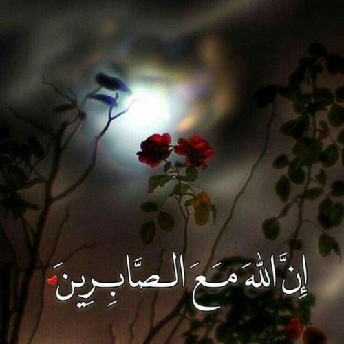 A bright full moon illuminates the night sky, casting a serene glow over the landscape below