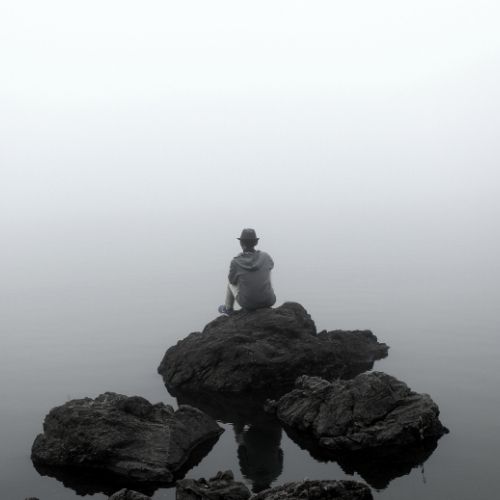 A person sitting on a rock in calm water, surrounded by nature, enjoying a peaceful moment