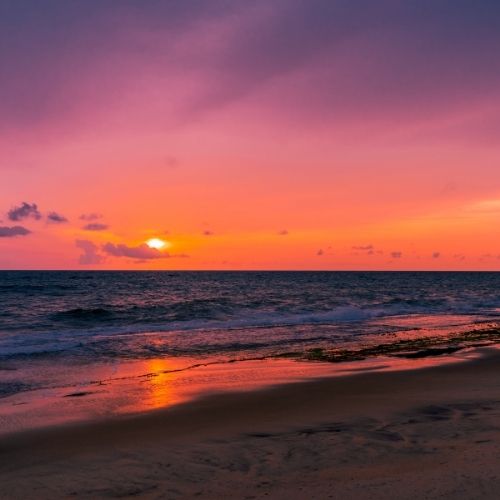 A serene beach sunset with a vibrant purple sky reflecting on the water