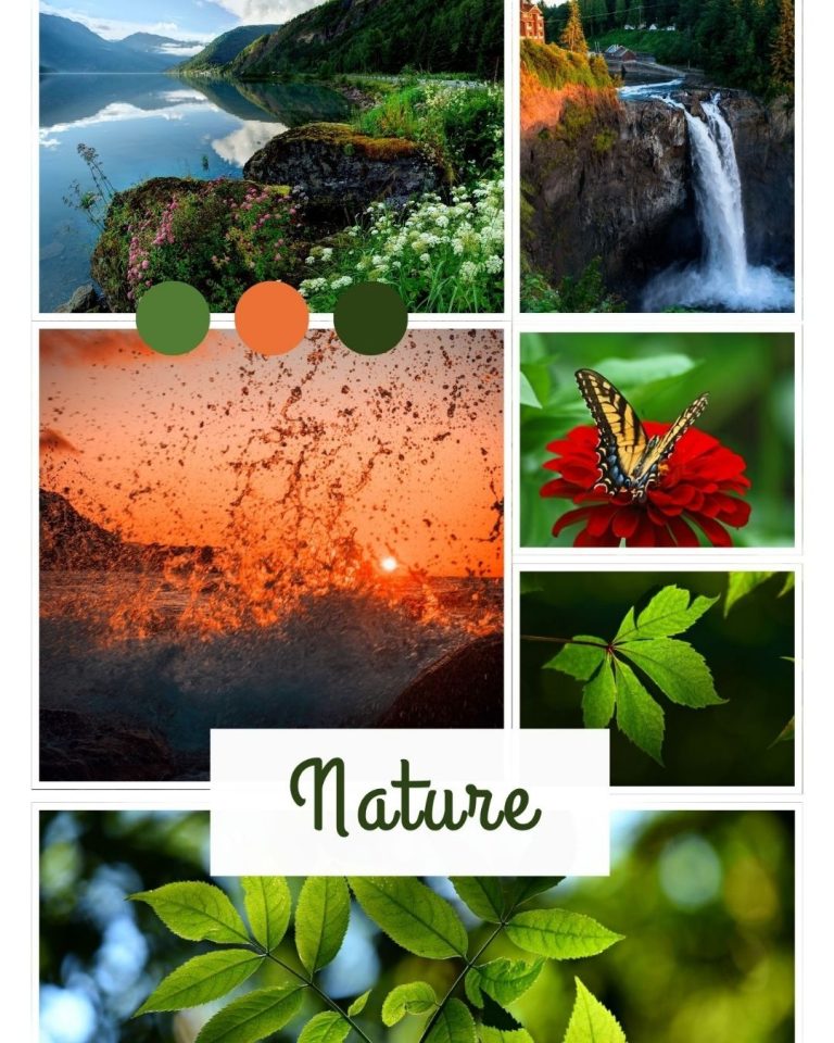 Best Nature Captions for Instagram: Fresh and Engaging Instagram Nature Quotes You’ll Love