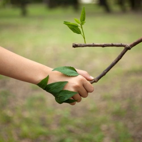 A hand holds a branch with a young plant sprouting from it, symbolizing growth and nature's resilience