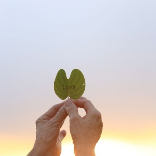 A person holds a green leaf with the word love elegantly written on its surface