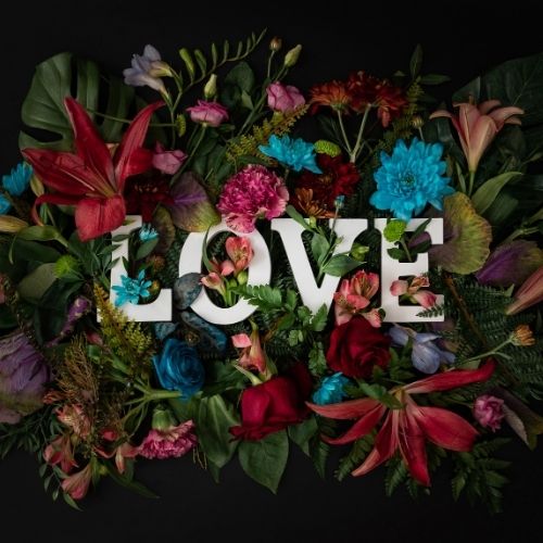 Colorful flowers with the word love displayed on a black background