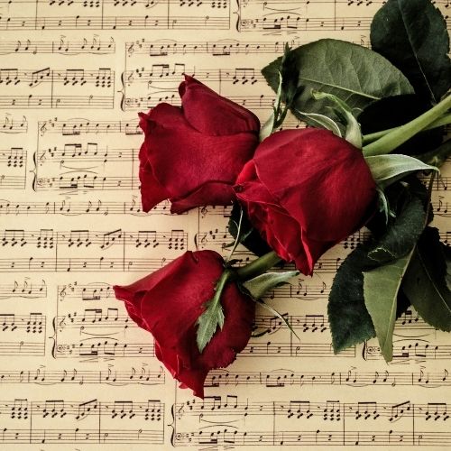 Three vibrant red roses placed on a sheet of music, symbolizing the harmony of nature and art