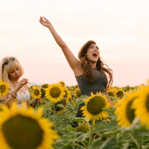 Two women stand in a sunflower field, arms raised joyfully against a bright blue sky