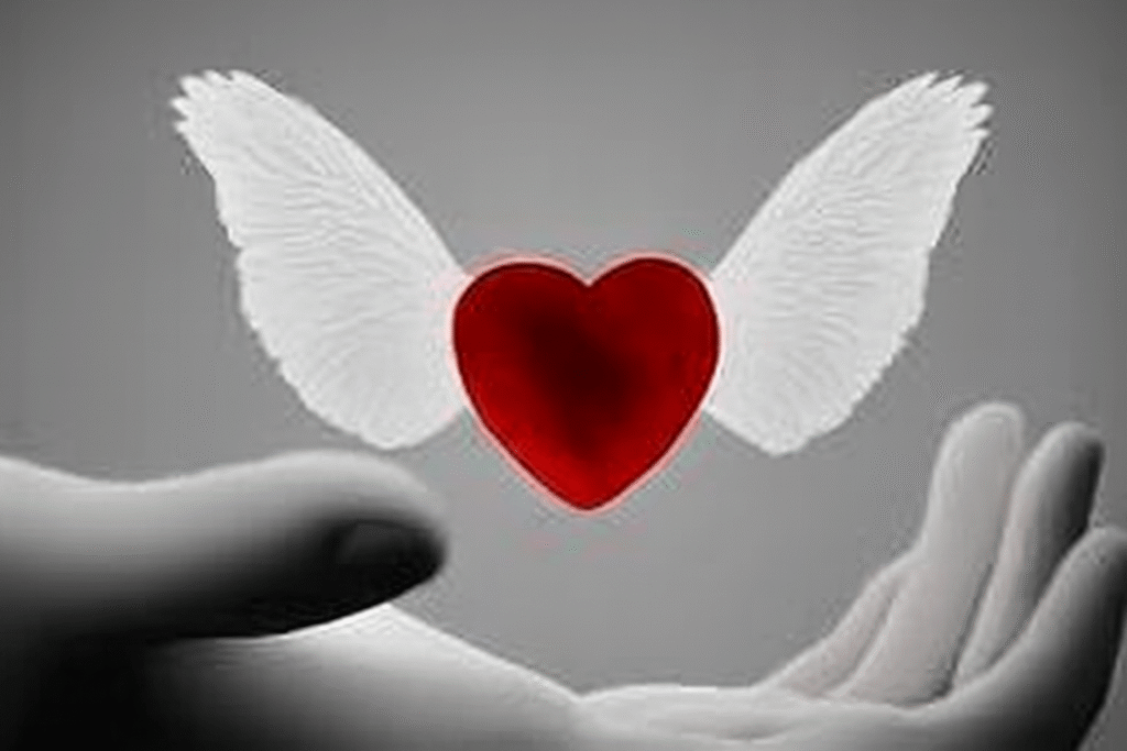 A hand holds a heart with wings, symbolizing love and freedom