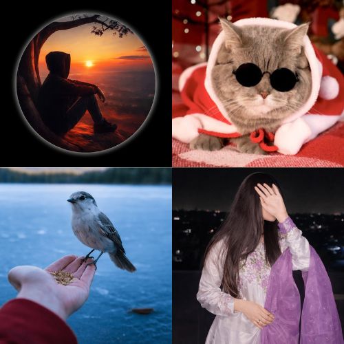 Cool DP For Instagram Free Download